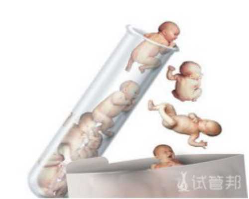 上海招聘助孕护士,上海有能做供卵三代试管婴儿的私立医院吗？,请问上海供卵