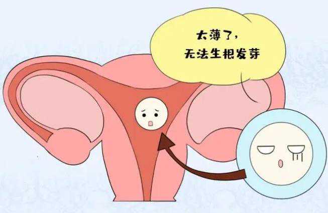 上海医院供卵服务,[女人备孕]上海第三代试管可以选性别