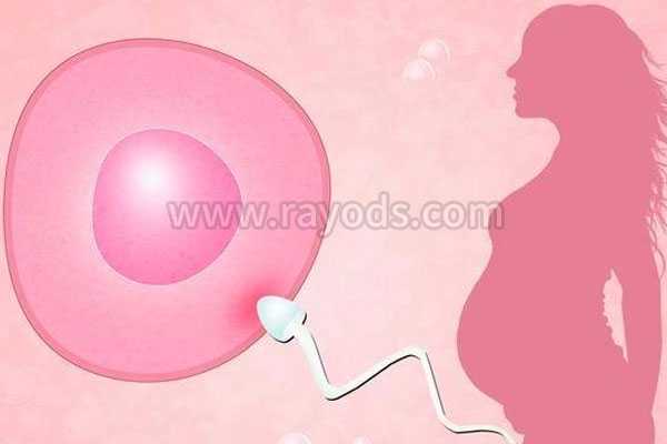 武隆代孕的联系方式,试管婴儿最痛苦的步骤是哪一步？-子宫内膜异位症不能干