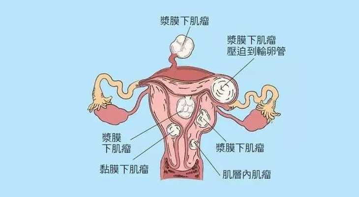 浦东新实力强的代孕,45岁做试管婴儿成功率？_上海供卵试管生子多少钱