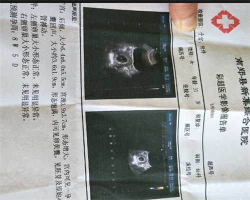 上海世纪代怀孕电话_上海代怀孕机构_Theshy被打成