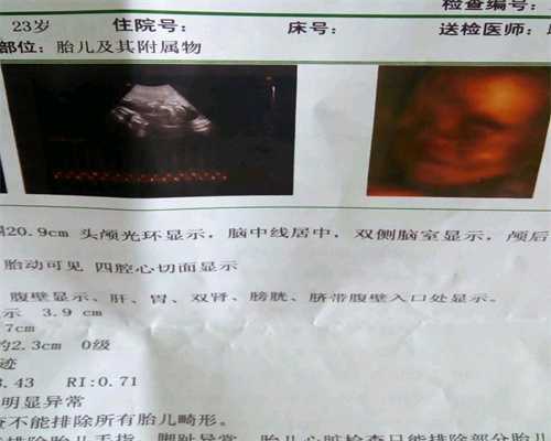 上海三大助孕公司_提供上海代怀孕公司_现实版孤