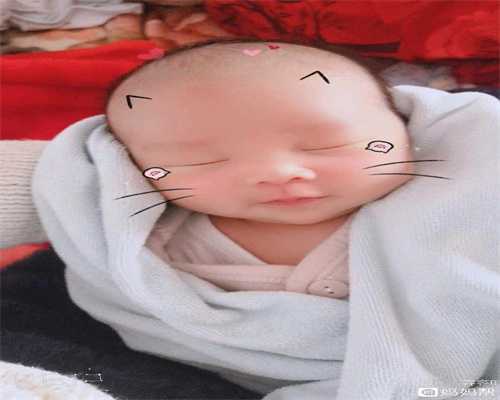 上海正规代孕包成功_上海找人生孩子_领养流浪猫