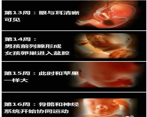 上海世纪代怀孕联系电话_上海代孕成功率_4月不