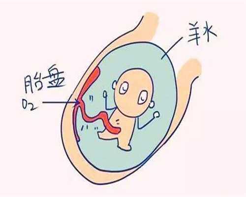 在上海找代孕女_上海代孕任何办理户口_卵巢囊肿