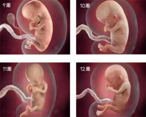 上海世纪代怀孕哪里找_上海代怀孕_识别哪些胚胎