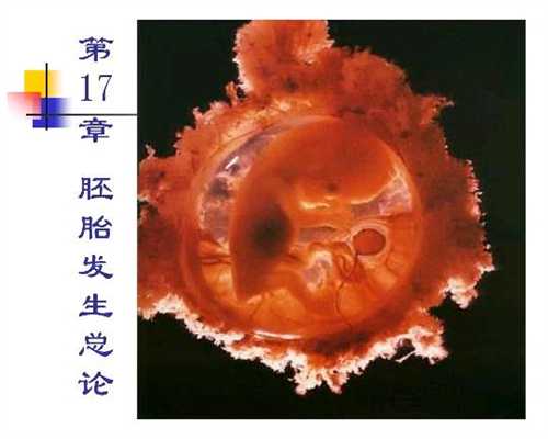 上海找人生孩子_上海代怀孕怎么样_蒸螃蟹和煮螃
