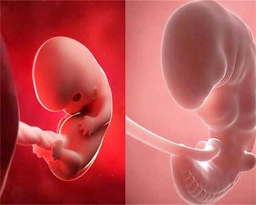 上海代孕是真的么_上海代生小孩机构_胚胎移植前