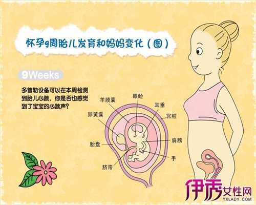 上海捐卵代孕医院_上海助孕包成功_很多孕妈妈首