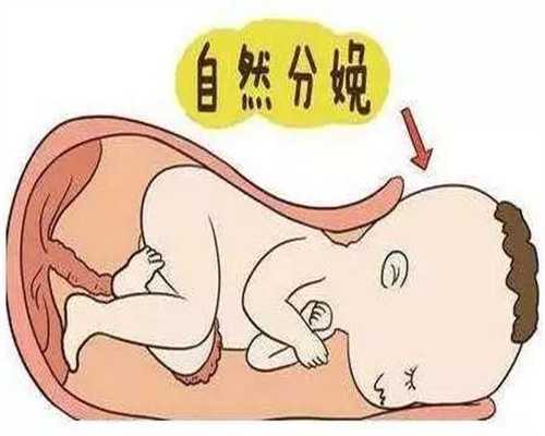 上海代孕地址_上海世纪代怀孕_宫颈糜烂检查及费