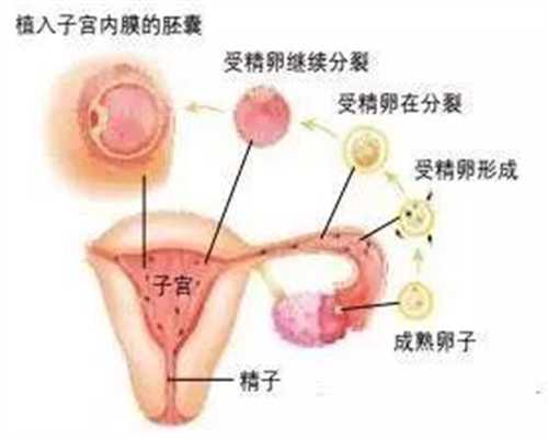 上海代怀孕哪家好_上海正规排名代怀孕公司_怀孕