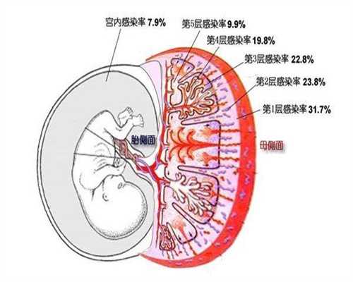 上海世纪代怀孕公司_上海世纪代怀孕优势_体外受