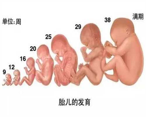 上海代孕任何办理户口_上海代孕价格是多少_日本