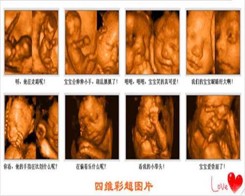 上海助孕地址_上海世纪代怀孕服务好_专家称八胞