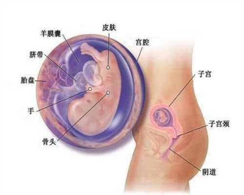 上海最大的助孕公司_上海代怀孕医院_因为儿子长