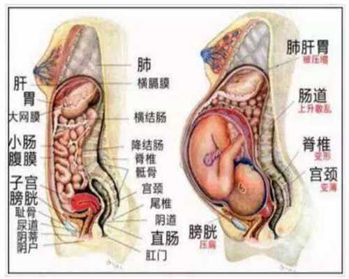 上海添禧代怀孕套餐_上海助孕医院_广东人吃蟹的