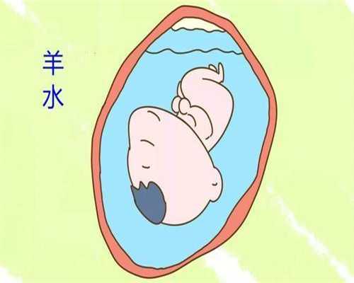 上海代孕结果怎么样_上海代生孩子需要多少钱