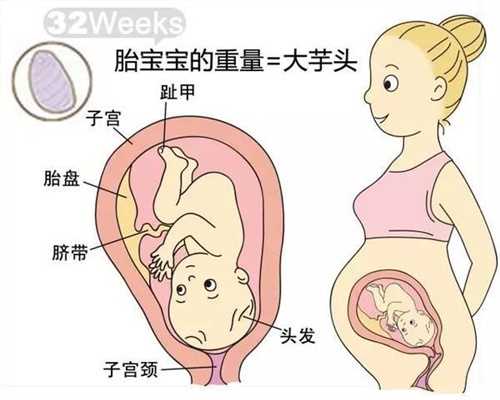 上海代怀孕公司排名_上海代孕价格_怀孕后很不想