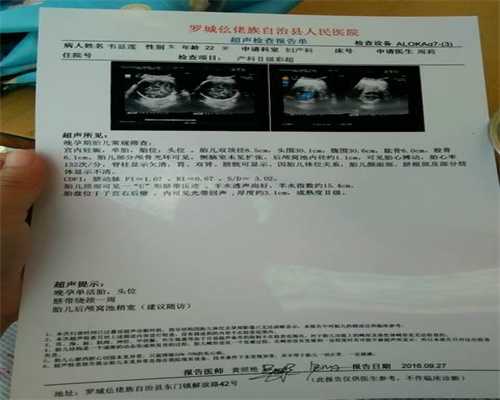 上海代孕女人_上海供卵代生孩子_耳聋狗狗没人认