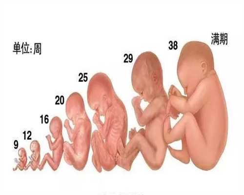 上海代孕服务_代生宝宝价格多少上海_药物促卵超
