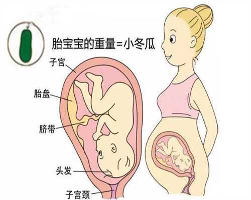 上海代怀孕价格_上海代孕服务_试管婴儿取卵后多