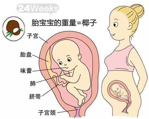 上海代怀孕价格_上海代孕服务_试管婴儿取卵后多
