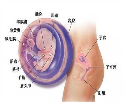 上海代怀孕哪家好_上海代孕可行性_婴儿脐带血保