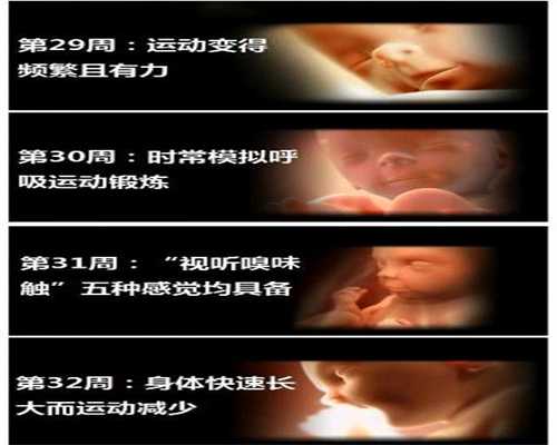 上海代怀孕试管助孕_上海世纪助孕代怀孕_通过获