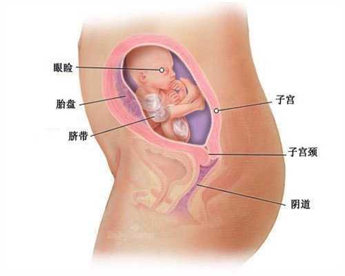 上海代怀孕机构_上海世纪代怀孕生孩子_65岁校医