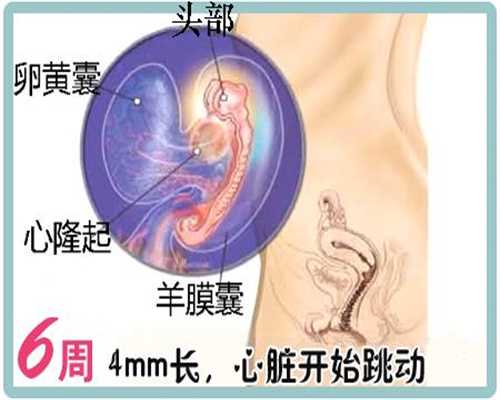 上海世纪代怀孕可靠不_代孕上海代孕网_黑猫投诉