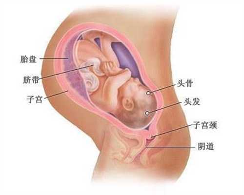 上海找人代生孩子男孩_上海代孕成功率_母婴头条