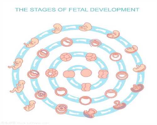 上海代怀孕安全吗:药物对胚胎发育的影响有哪些