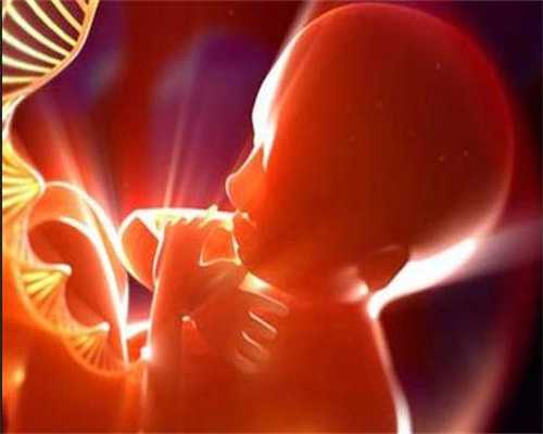 上海正规的代生孕中介:胎动有什么计数方法