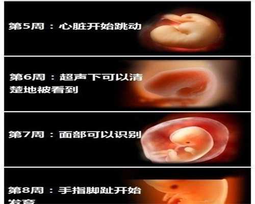 上海代生宝宝价格多少:上海代怀孕有哪些机构
