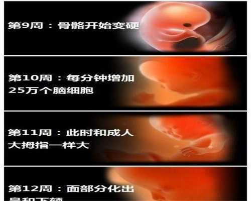 上海代生宝宝价格多少:上海代怀孕有哪些机构