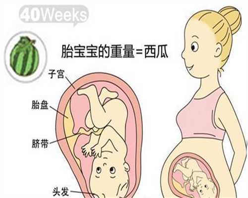 上海代怀孕第四代试管:上海代孕产子价格介绍