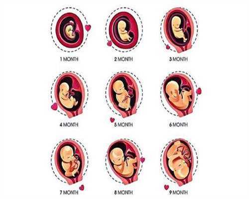 上海代生宝宝有名靠谱:上海代怀孕助孕成功率