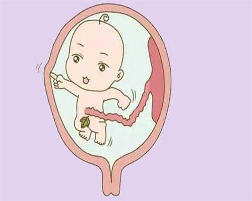 上海代怀孕机构代怀孕:打过胎什么时候能要小孩