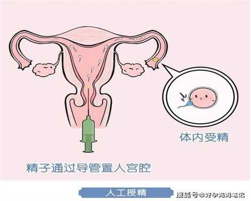上海正规代孕之家-1617681248012