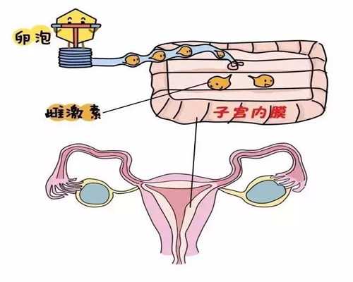 上海代孕费用明细一览表-得过卵巢囊肿影响怀孕吗