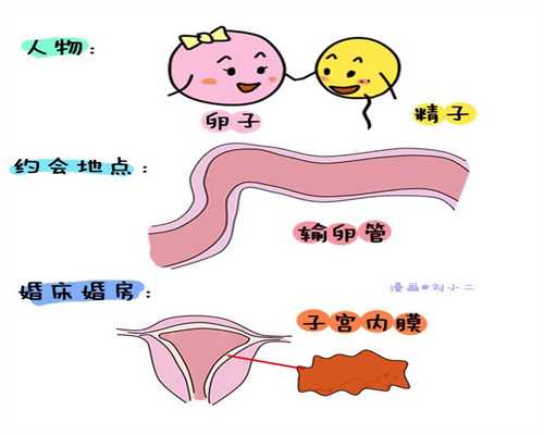 上海代孕费用和成功率-孕酮每次都低是什么原因