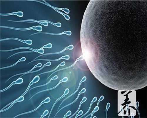 上海代孕总费用多少_上海有谁在找人代孕成功_环球宝贝生殖中心-宫外孕胚胎在