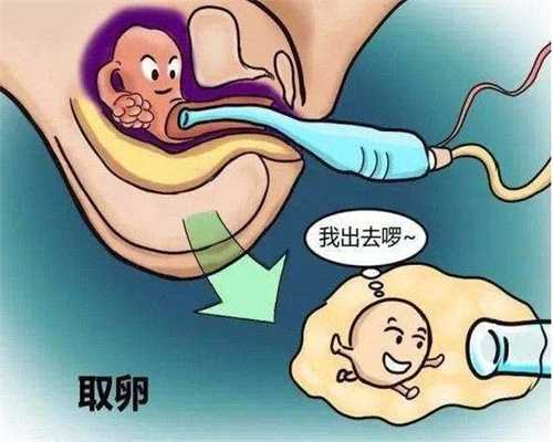 上海代孕中心咋样_上海代孕费用便宜吗