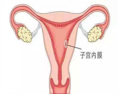 上海哪里有代孕的呀_上海代孕中介哪家最好