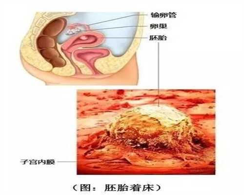 上海胚胎移植_上海供卵试管选性别