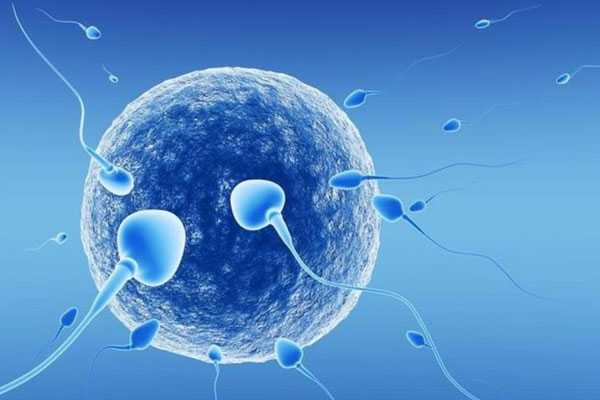 高龄供卵试管_供卵中心_精子碎片率高可以做试管吗？做几代试管好？