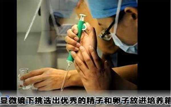 深圳52岁供卵试管单次成功率_试管婴儿手术取卵是不是很疼，打没有打麻药，对