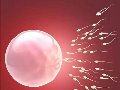 海东借卵代孕需要多少钱_海东供卵代孕的孩子_8月统计：嘉峪关卵巢囊肿可以试