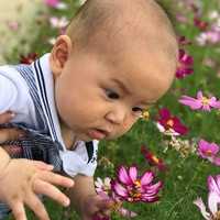 上海关于试管婴儿和代孕_ELISA样本制备指南及注意事项_hc627
