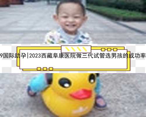 2022年洗精代孕_aa69国际助孕|2023西藏阜康医院做三代试管选男孩的成功率怎么样